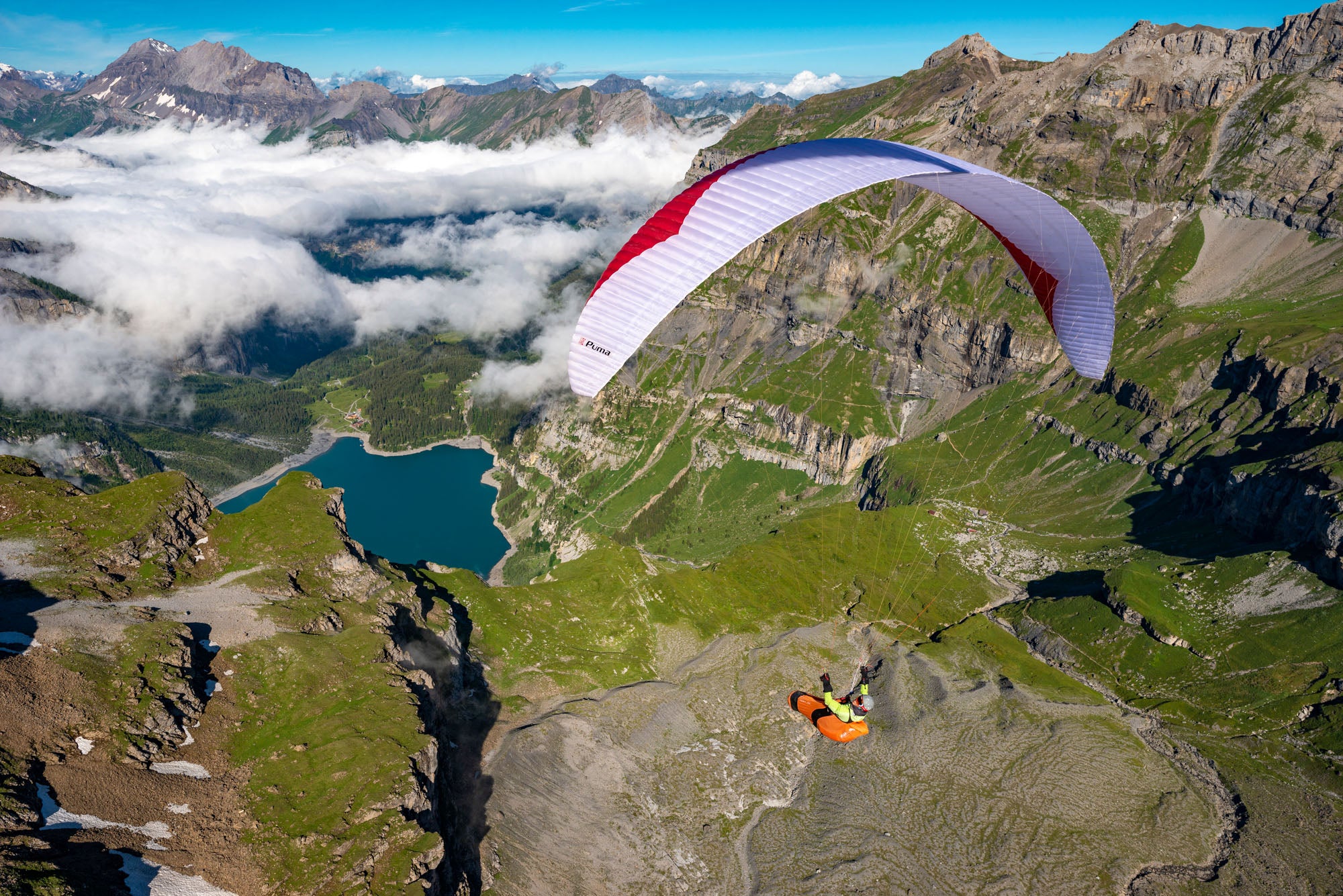 Gin Puma – Lightweight D