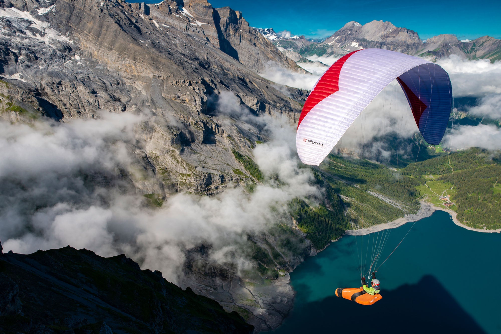 Gin Puma – Lightweight D