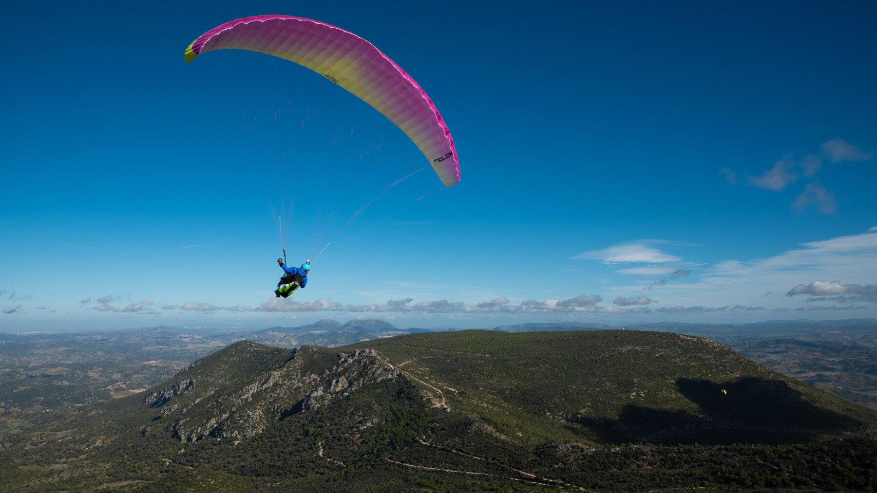 Ozone Mojo 6 Paraglider