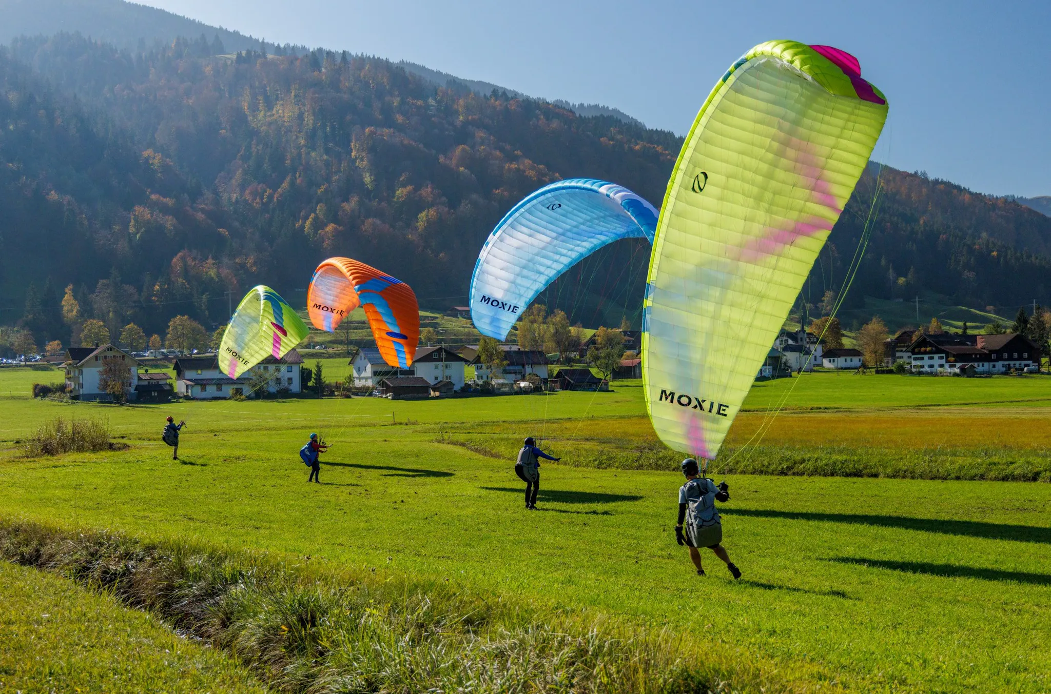 Ozone Moxie Paraglider