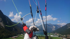 PHI Allegro X-alps (EN C – Light)