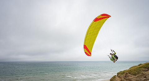 PHI VIOLA (EN A+ LIGHT)