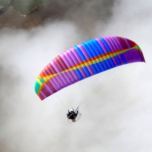 Wasp Motor Wing from BGD